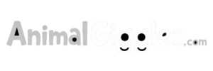 AnimalGiggles.com
